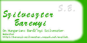 szilveszter barenyi business card